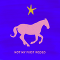 Not My First Rodeo - Magnet