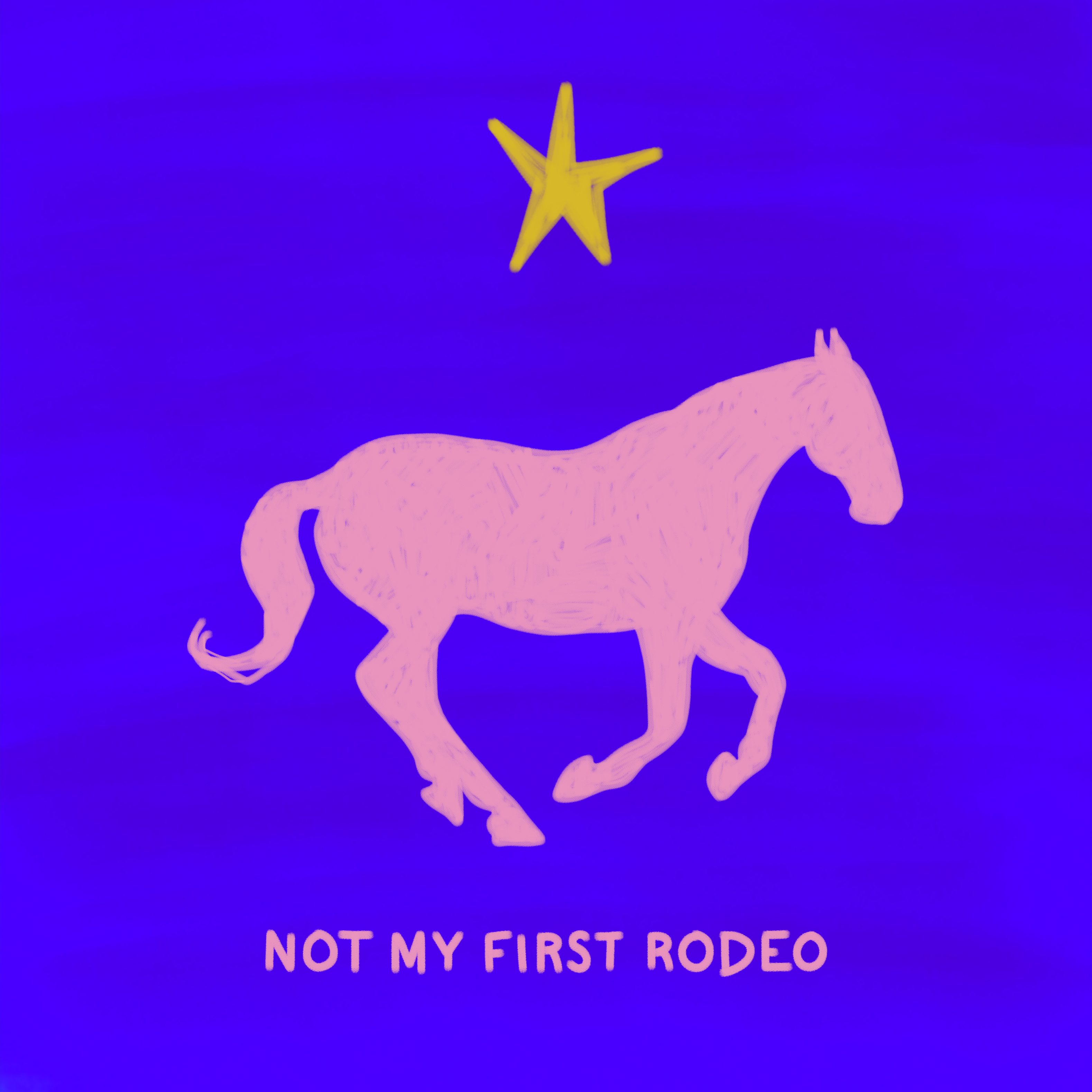 Not My First Rodeo - Magnet